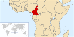Situación de Camerún