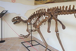 Lourinhanosaurus antunesi.jpg