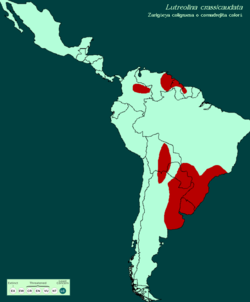 Mapa de distribución de Lutreolina crassicaudata