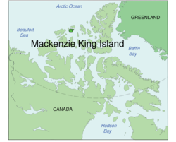 Mackenzie King Island.png