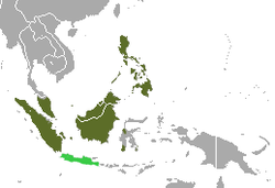 Distribución de la civeta malaya (verde oscuro) y presencia dudosa (verde claro)