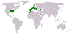 Map-World-Ornithogalum-umbellatum.png