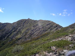 Mount-buller-summit-ridge.jpg