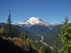 Mount Rainier 7437.JPG