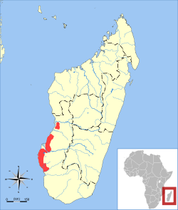 Distribución de la mangosta de rayas angostas