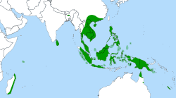 Distribución global de Nepenthes.