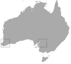 Distribución del numbat (verde) y zona de reintroducción (rosa)