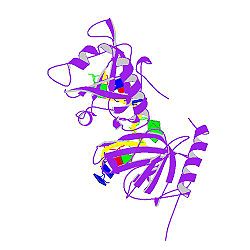 PBB Protein POT1 image.jpg