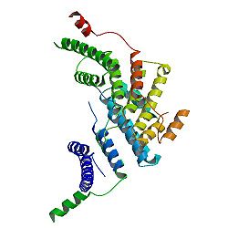 PBB Protein TERF2 image.jpg