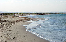 Playa Punta de Algas