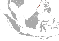 Distribución del tejón mofeta de Palawan