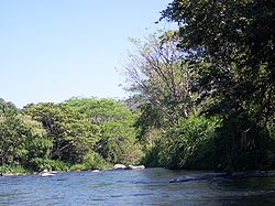 Río Actopan-Veracruz-Mexico.jpg
