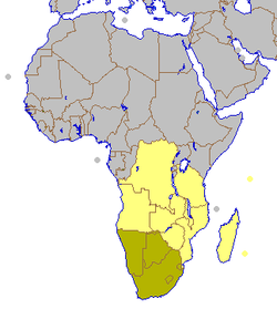 Todo lo amarillento. Lo mostaza incluye la Unión Aduanera de África Austral.
