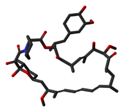 Sirolimus-from-1C9H-3D-sticks.png