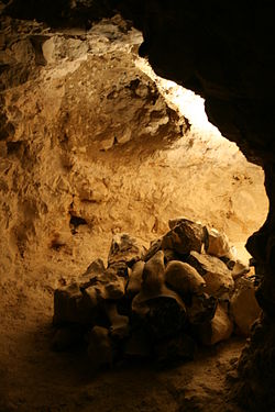 Spiennes - Minières néolithiques de silex (2).jpg