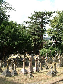 St Martins Church graveyard.JPG
