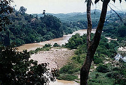 Una vista del río Sungei Tembeling del Taman Negara.