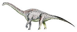 Tastavinsaurus BW.jpg