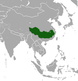 Tibetan Macaque range