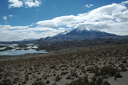Volcan Parinacota + CotaCotani lakes.jpg