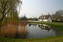 Wicken village pond - geograph.org.uk - 381093.jpg