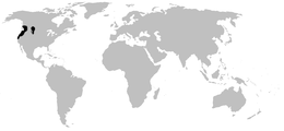 Distribución de Ascaphus (en negro)