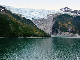 Glaciar Romanche, en el Canal Beagle