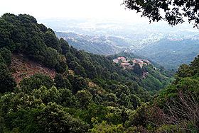 Paisaje de bosque mediterráneo (Córcega)