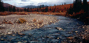 El río Agie en el área del parque nacional