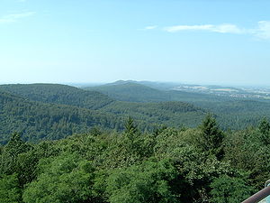 Blick-über-den-Teutoburger-Wald1.JPG