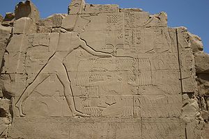 Thutmose III at Karnak.jpg