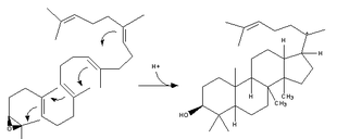 Cholesterol-Synthesis-Reaction12.png