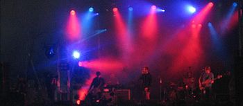 Echo and the Bunnymen T in the Park 2005.jpg
