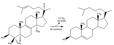 Cholesterol-Synthesis-Reaction14.png