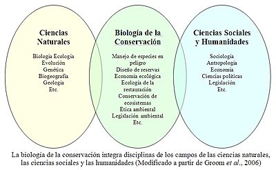 Relaciones de la biología de la conservación con otras disciplinas.jpg