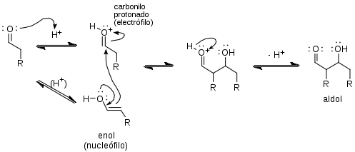 Mecanismo para la reacción aldólica catalizada por ácido de un aldehído consigo mismo.