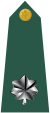 US Army O5 shoulderboard.svg