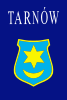 Bandera de Tarnów
