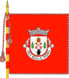 Bandera de São Pedro (Vila Real)