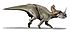 Centrosaurus BW.jpg