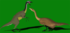 Enigmosaurus-Mating-Ritual3-2D.png