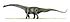 Futalognkosaurus BW.jpg