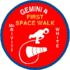 Gemini4-Patch.png