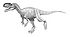 Monolophosaurus jiangi jmallon.jpg