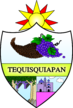 Escudo de Tequisquiápan