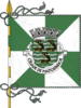 Bandera de Matosinhos