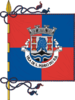 Bandera de São Pedro do Sul