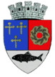 Escudo de Urziceni