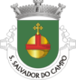 Escudo de São Salvador do Campo