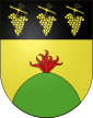 Escudo de Bernex